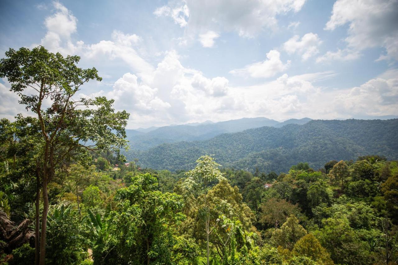 Red House The Garden Stay In Bukit Tinggi By Play Bentong Ngoại thất bức ảnh